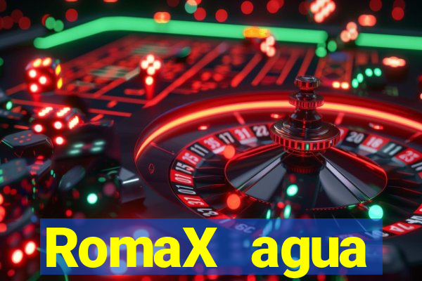 RomaX agua sanitaria fispq agua sanitaria romax